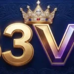 883V Game Logo