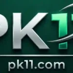 PK11 Game Logo